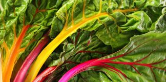 15 loại thực phẩm và thảo mộc giúp cải thiện tâm trạng của bạn