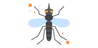 Các nghiên cứu cho thấy khả năng bị muỗi đốt phụ thuộc vào mùi cơ thể của bạn