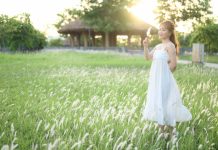 Cánh đồng cỏ lau đẹp như tranh vẽ tại công viên Văn Lang – Tp. Việt Trì