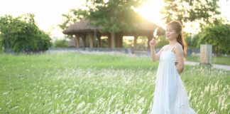 Cánh đồng cỏ lau đẹp như tranh vẽ tại công viên Văn Lang – Tp. Việt Trì