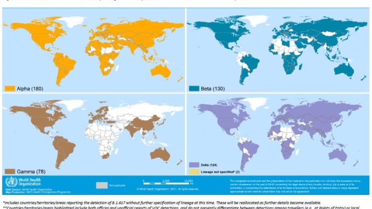 Bản đồ của WHO cho thấy mức độ phổ biến toàn cầu của các biến thể. Ảnh: World Health Organization