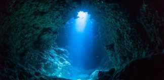 38 sự thật về đại dương sẽ khiến bạn sửng sốt