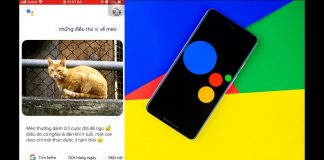 Google Hiện hành Cho phép bạn tìm kiếm thông tin thú vị