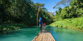 85 sự thật thú vị về Jamaica