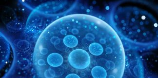 Vũ trụ rộng lớn đến mức nào?