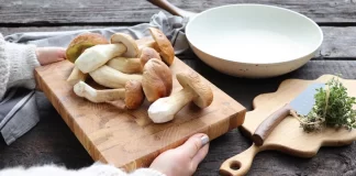 10+ Sự thật không đúng về nấm mà có thể bạn từng nghe qua