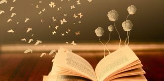 Những điều thú vị về sách mà có thể bạn chưa biết