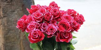 9 sự thật về ngày lễ tình nhân mà chúng tôi cá là bạn chưa biết