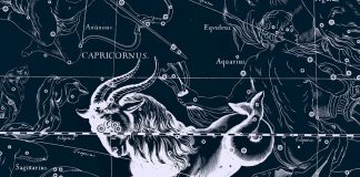 Sự thật thú vị về cung hoàng đạo: Ma Kết