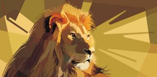 Sự thật thú vị về cung hoàng đạo: Sư Tử