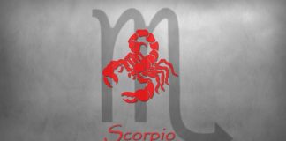 Sự thật thú vị về cung hoàng đạo: Bọ Cạp