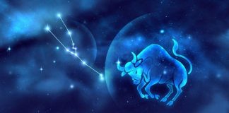 Sự thật về cung hoàng đạo: Kim Ngưu