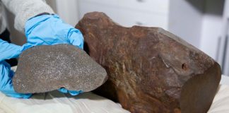 Người đàn ông giữ 1 viên đá trong nhiều năm, hy vọng đó là vàng hóa ra nó có giá trị hơn nhiều Thiên thạch Maryborough, với một phiến đá được cắt ra từ khối thiên thạch. (Bảo tàng Melbourne)