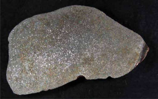 Một phiến đá được cắt ra từ thiên thạch Maryborough. (Birch và cộng sự, PRSV, 2019)