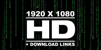 Sự thật về “Cơn mưa xanh” (Green Rain) trong phim Ma trận