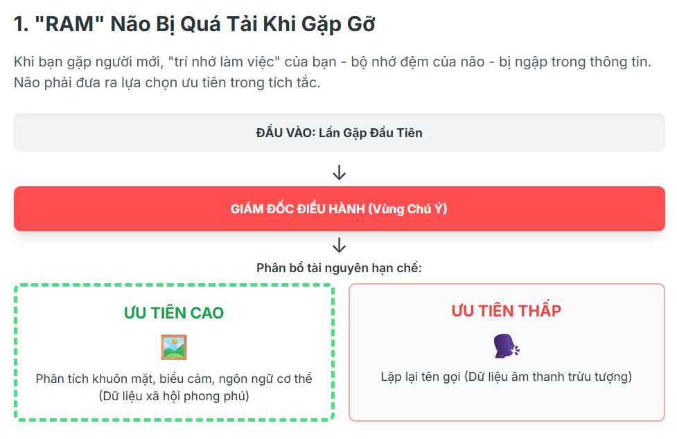 Khi bạn gặp người mới, "trí nhớ làm việc" của bạn - bộ nhớ đệm của não - bị ngập trong thông tin. Não phải đưa ra lựa chọn ưu tiên trong tích tắc.