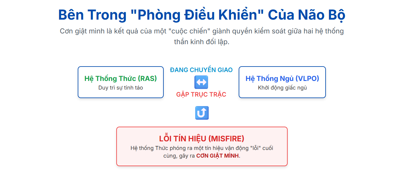 Bên Trong "Phòng Điều Khiển" Của Não Bộ