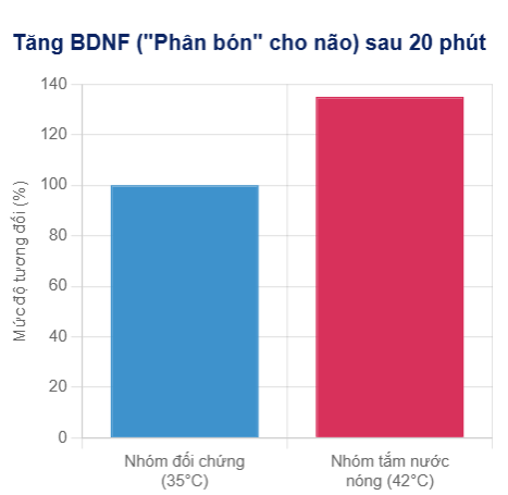 BDNF - "Phân bón" diệu kỳ cho tế bào thần kinh
