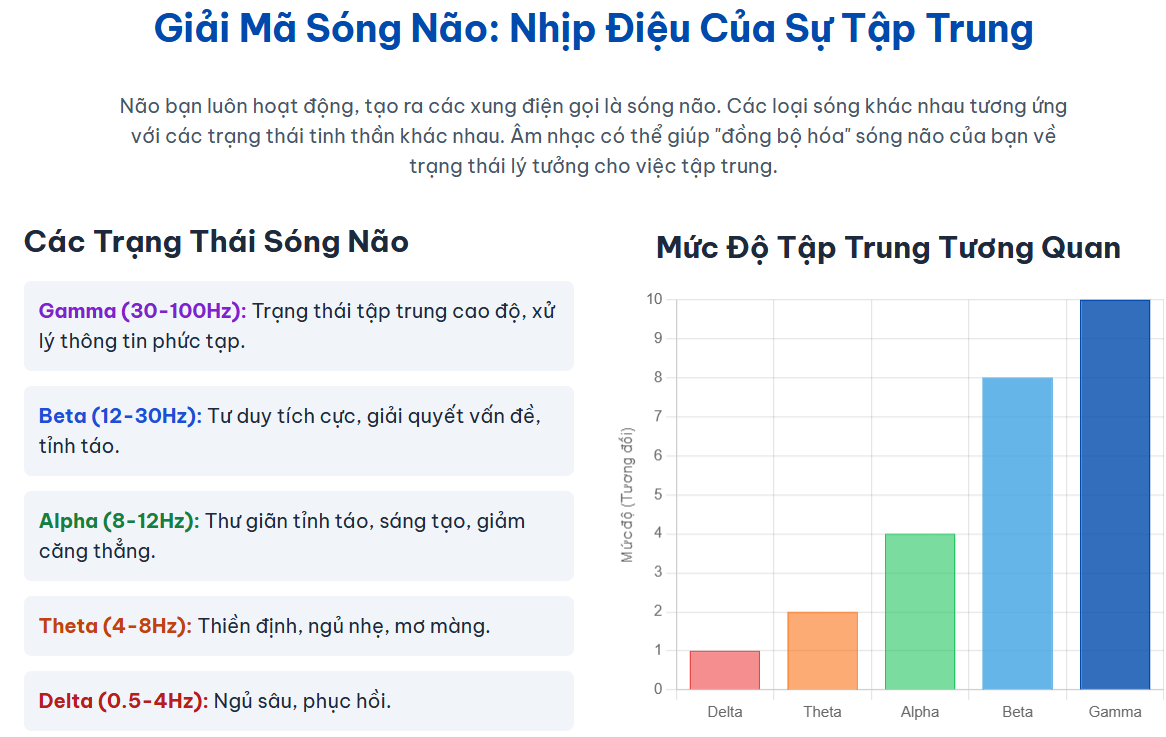 Giải Mã Sóng Não: Nhịp Điệu Của Sự Tập Trung