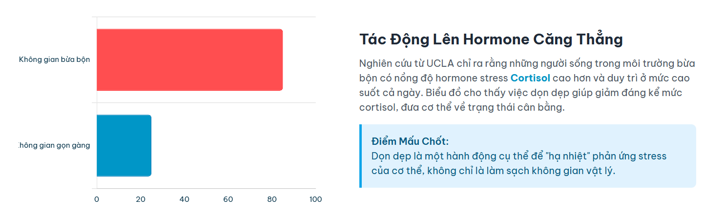 Gánh Nặng Vô Hình Của Sự Bừa Bộn