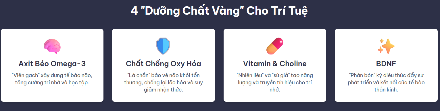 4 "Dưỡng Chất Vàng" Cho Trí Tuệ
