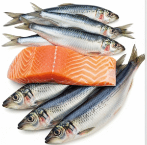 Cá Béo (Cá Hồi, Cá Mòi, Cá Trích): Nguồn Cung Cấp Omega-3 Tinh Túy