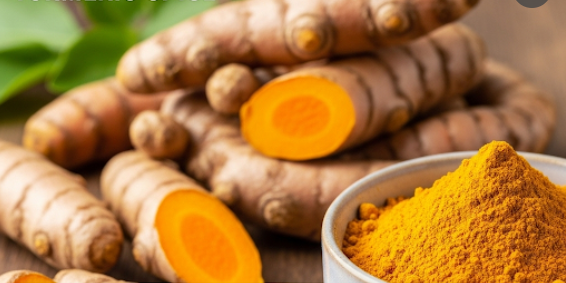Nghệ: Gia Vị Chống Viêm, Vượt Qua Hàng Rào Máu Não