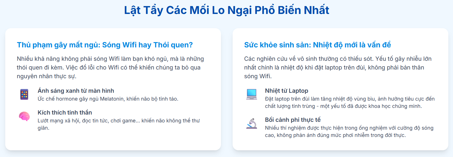 Lật Tẩy Các Mối Lo Ngại Phổ Biến Nhất