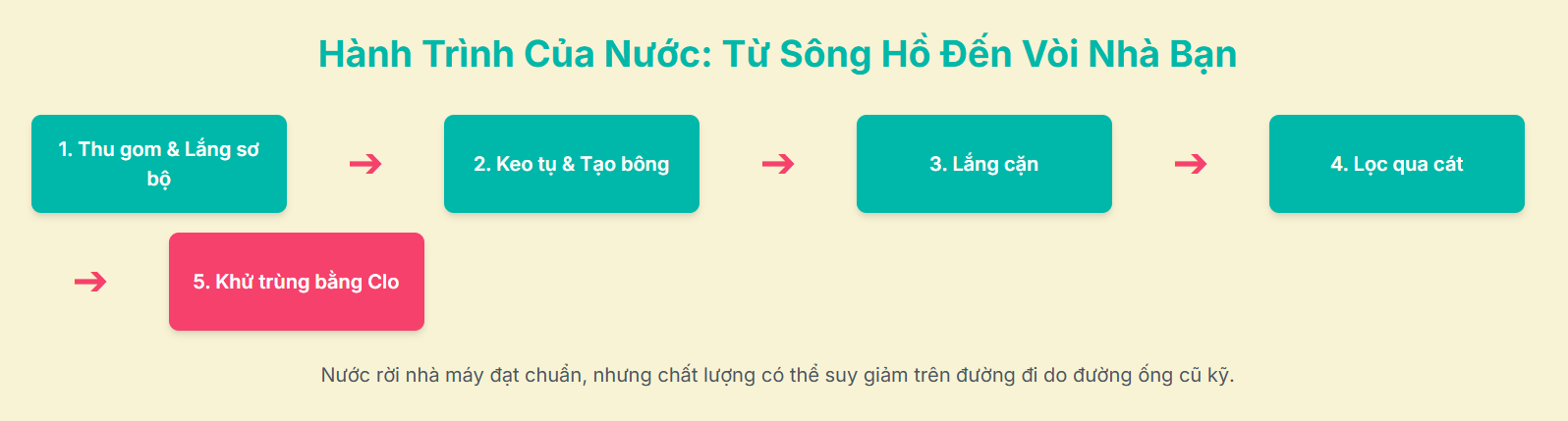 Hành Trình Của Nước: Từ Sông Hồ Đến Vòi Nhà Bạn