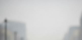 Ô Nhiễm Không Khí Đang Tàn Phá Não Bộ Bạn – Sự Thật Kinh Hoàng