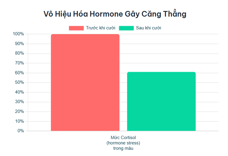 Nghiên cứu cho thấy tiếng cười làm giảm đáng kể nồng độ Cortisol, hormone stress chính trong cơ thể.