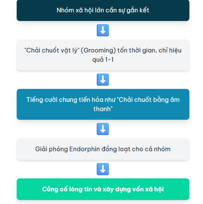 Chất Keo Gắn Kết Xã Hội