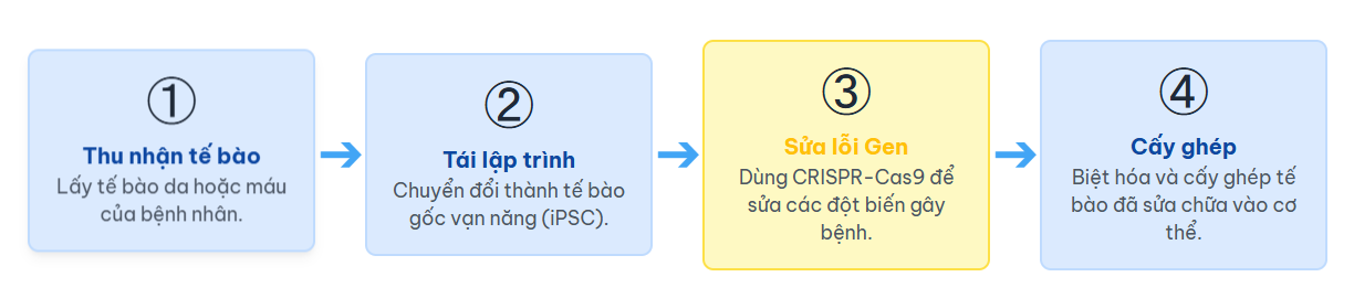 Tương Lai Của Y Học Chính Xác