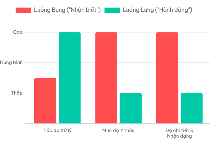 So Sánh Hai Luồng Thị Giác