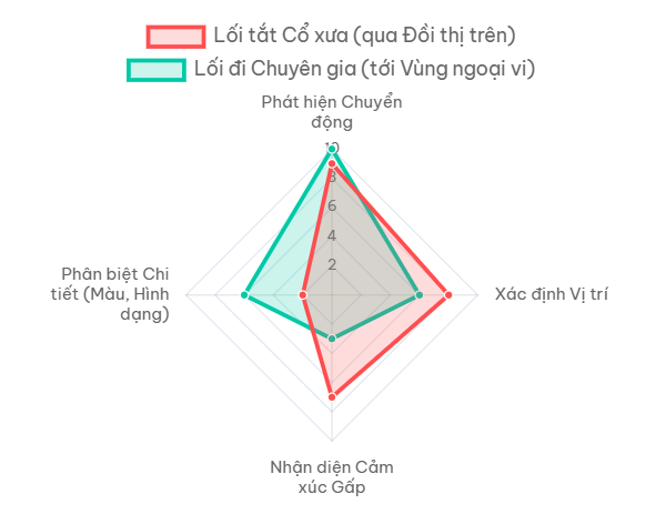 Những Lối Đi "Bí Mật" Của Não