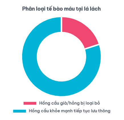 Bộ Lọc Máu & Nhà Máy Tái Chế
