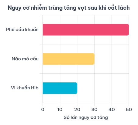 Tổng Hành Dinh Miễn Dịch