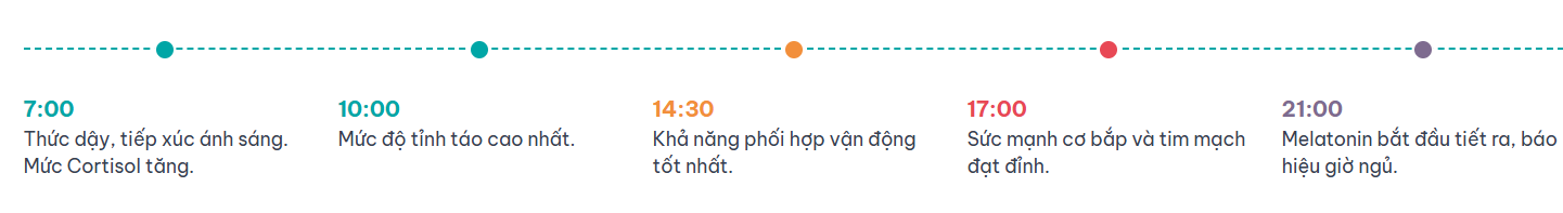 Một Ngày Lý Tưởng Theo Nhịp Sinh Học