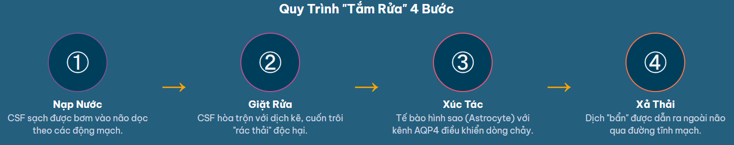Quy Trình "Tắm Rửa" 4 Bước