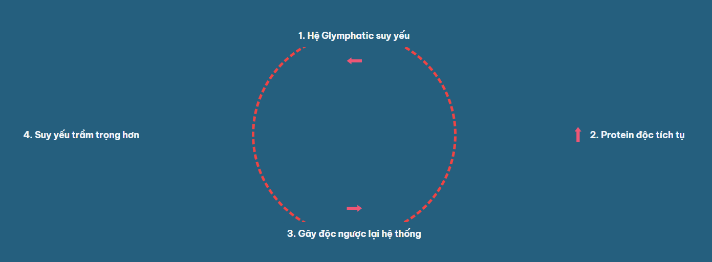 Vòng Lặp Luẩn Quẩn Của Bệnh Tật