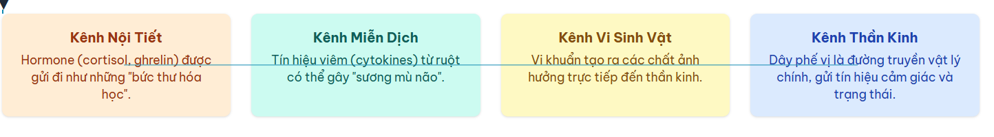 Bốn Kênh Giao Tiếp Chính