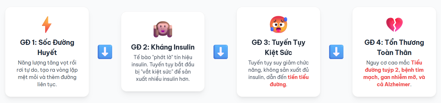 Hành Trình Phá Hủy Cơ Thể Trong 4 Giai Đoạn