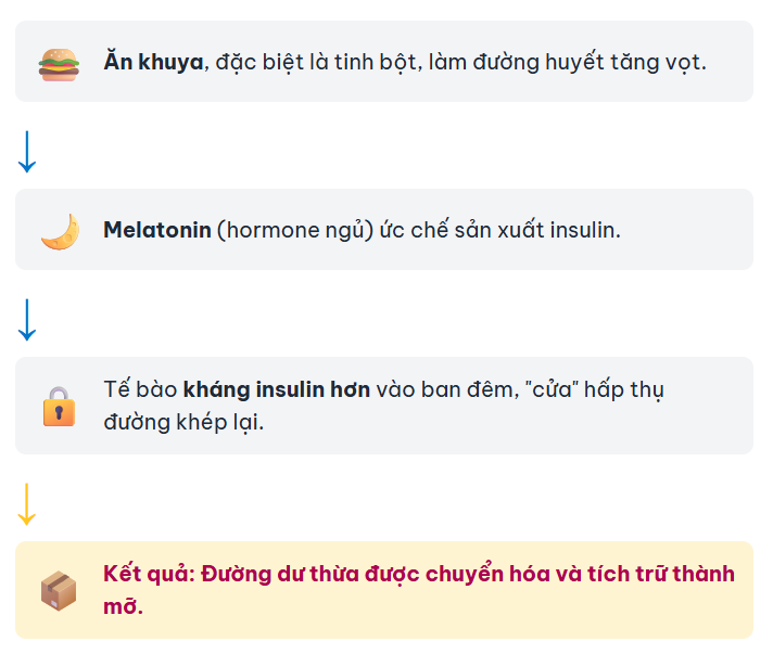 Dòng Thác Chuyển Hóa Mỡ Khi Ăn Đêm