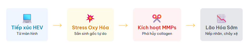 Con Đường Phá Hủy Collagen Của Ánh Sáng Xanh