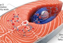 4 thực phẩm tự nhiên bảo vệ tim mạch tốt hơn thuốc?