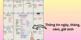 Người Việt quan tâm nhất gì khi xem tử vi