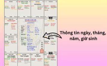 Người Việt quan tâm nhất gì khi xem tử vi